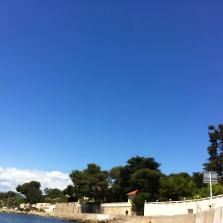 Les Palmiers Apartament